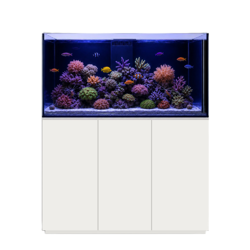 Reef Sea 150
