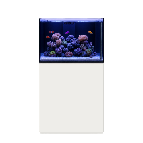 Reef Sea 70